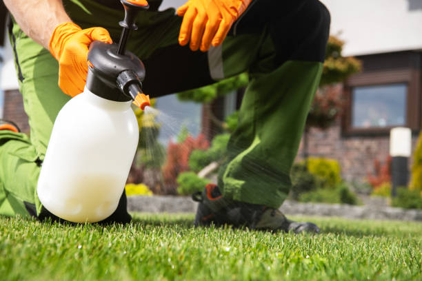 Best Ant Control Services  in Boulder Creek, CA