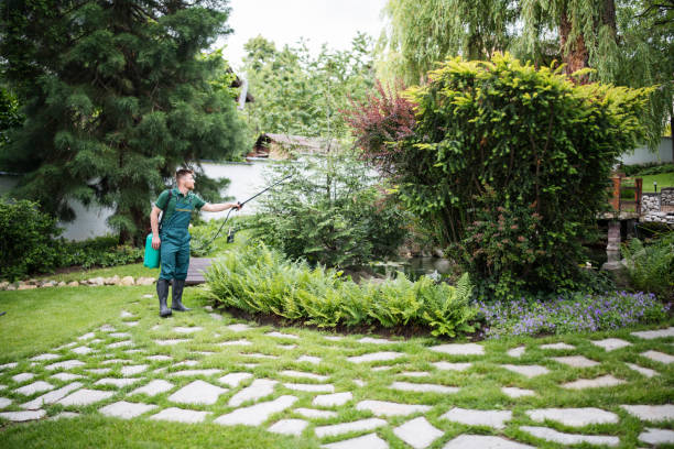 Best Termite Control Services  in Boulder Creek, CA