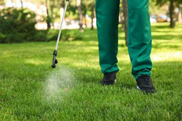 Boulder Creek, CA Pest Control Company