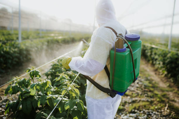 Insect Control in Boulder Creek, CA